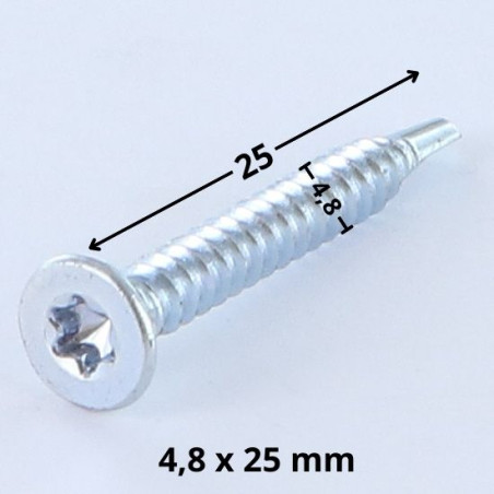 1 x Vite Autoperforante Testa Forata T25 4.8X25 Zincate