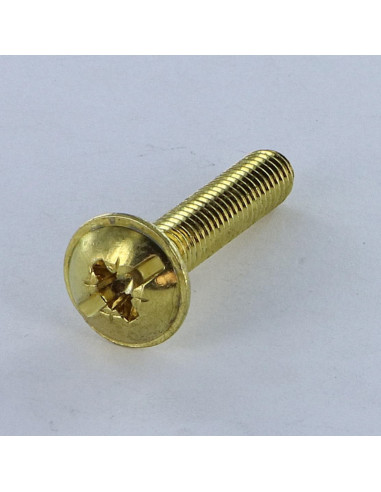 1 x Vite Testa Poelier Larga Pozy Con Intaglio...