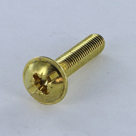 1 x Vite Testa Poelier Larga Pozy Con Intaglio M6X14 Acciaio Ottonato