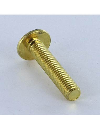 1 x Vite Testa Poelier Larga Pozy Con Intaglio...