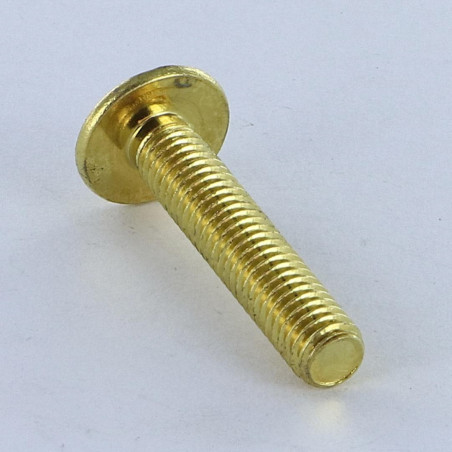 1 x Vite Testa Poelier Larga Pozy Con Intaglio M6X14 Acciaio Ottonato