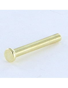 Rivetto Testa Piatta 2,6 x 20 Diametro Della Testa: 4.5...