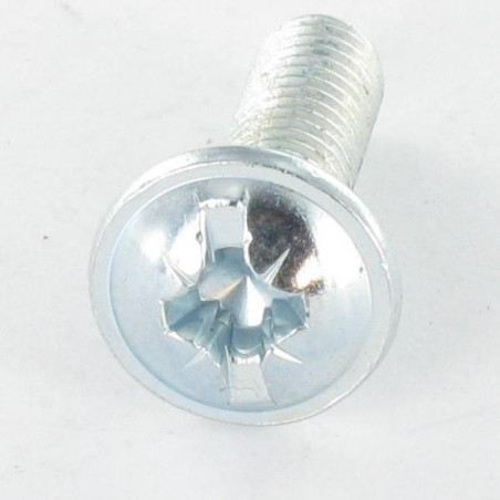 1 x Vite Testa Poelier Larga Pozy Con Intaglio M4X25 Zincate