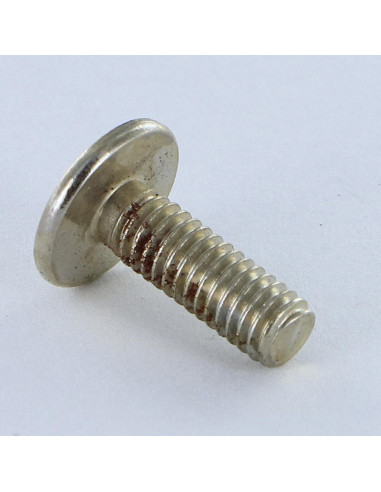 1 x Vite Testa Poelier Larga Pozy Con Intaglio...