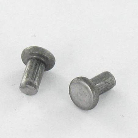 1 x Rivetto Testa Piatta 4.8X10 Acciaio Grezzo