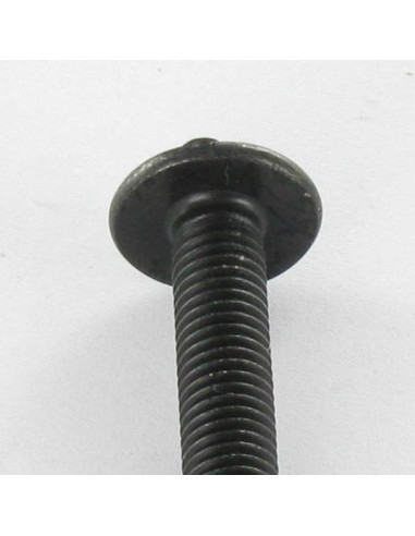 1 x Vite Testa Poelier Larga Pozy Con Intaglio...