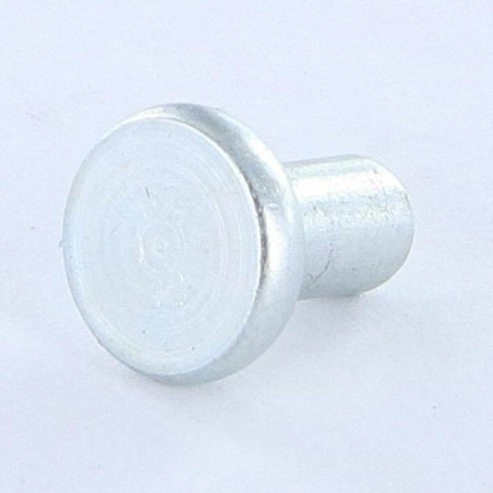 1 x Rivetto Testa Piatta 5X47 Zincate