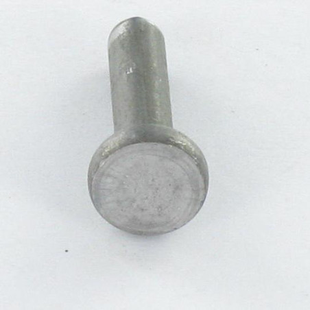 1 x Rivetto Testa Piatta 6,5X10 Zincate EP.T2.5