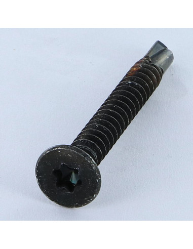 1 x Vite Autoperforante Testa Forata T25 5,5X50...