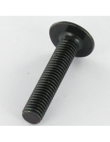 1 x Vite Testa Poelier Larga Con Intaglio In...
