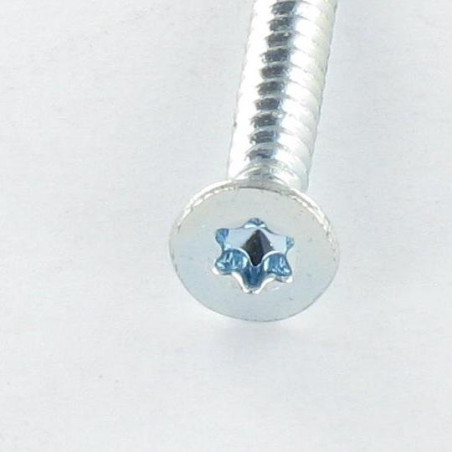 1 x Vite Autoperforante Testa Forata T20 4,2 x 25 Zincate