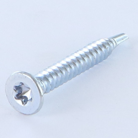 1 x Vite Autoperforante Testa Forata T25 4,8X19 Zincate