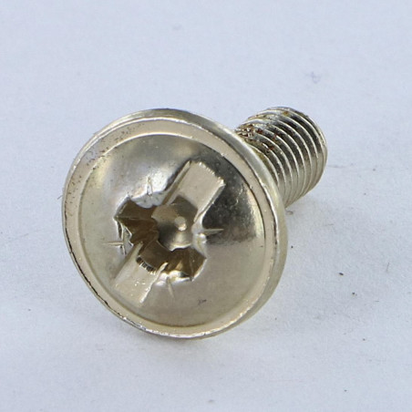 1 x Vite Testa Poelier Larga Pozy Con Intaglio M6X15 Acciaio Nichel