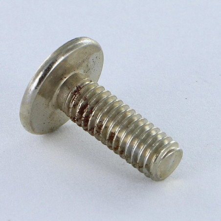 1 x Vite Testa Poelier Larga Pozy Con Intaglio M6X15 Acciaio Nichel