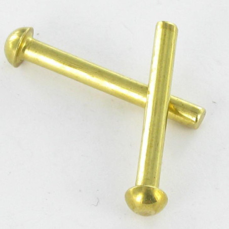 1 x Rivetto Testa Poelier 2,5X20 Ottone