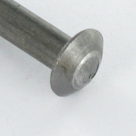 1 x Rivetto Testa Bombata 2,6X20+0-0,10 Acciaio Ottonato