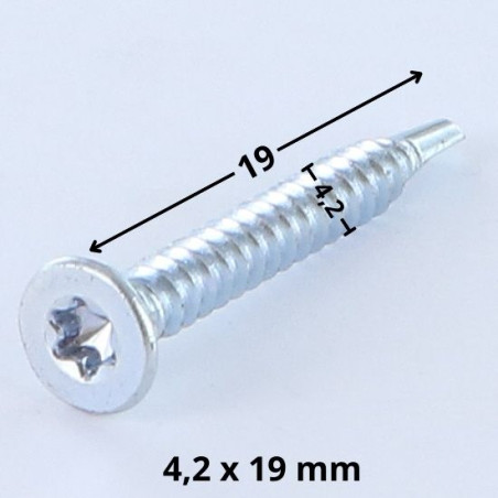 1 x Vite Autoperforante Testa Forata T20 4,2 x 19 Zincate