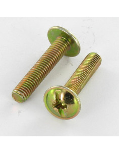 Vite Testa Poelier Larga Pozy Con Intaglio M4X30...