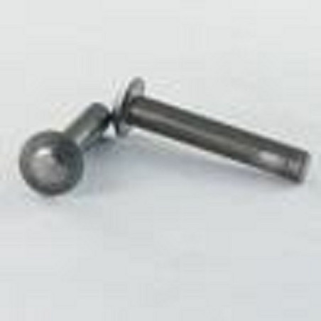 1 x Rivetto Testa Bombata 4x6 Zincate K 1,4 P