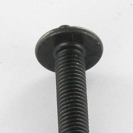 1 x Vite Testa Poelier Larga Pozy Con Intaglio M5X10 Acciaio Zincato Nero