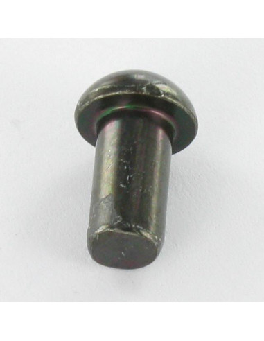 1 x Rivetto Testa Poelier 6X12 Acciaio Zincato...