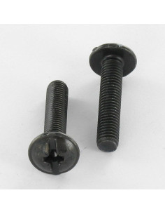 Vite Testa Poelier Larga Pozy Con Intaglio M4X25 Acciaio...