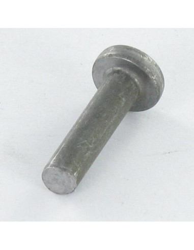 1 x Rivetto Testa Piatta 6X20 ALUA5