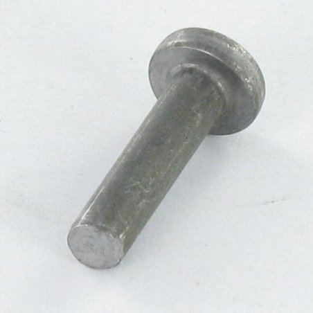 1 x Rivetto Testa Piatta 6X20 ALUA5