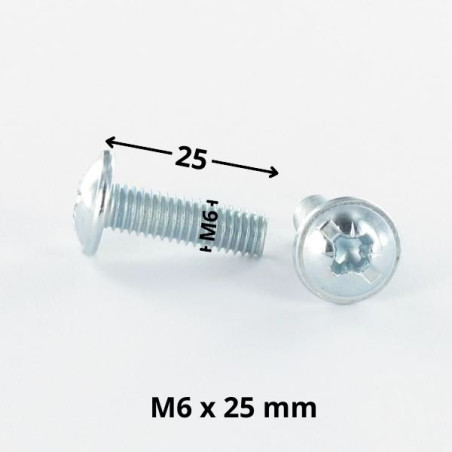 1 x Vite Testa Poelier Larga Pozy Con Intaglio M6X25 Zincate