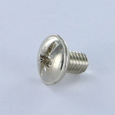1 x Vite Testa Poelier Larga Pozy Con Intaglio M6X10 Acciaio Nichel