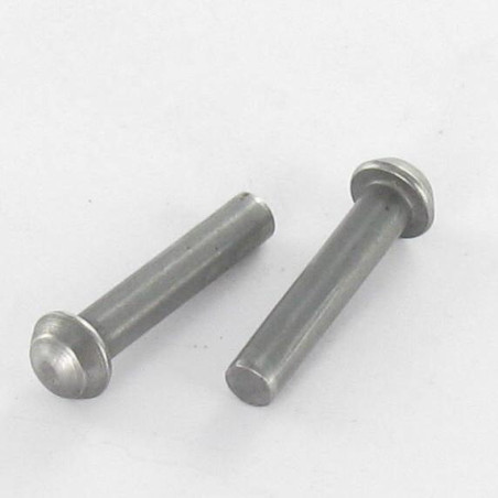 1 x Rivetto Testa Poelier 16X160 Acciaio Grezzo