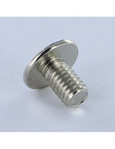 1 x Vite Testa Poelier Larga Pozy Con Intaglio...