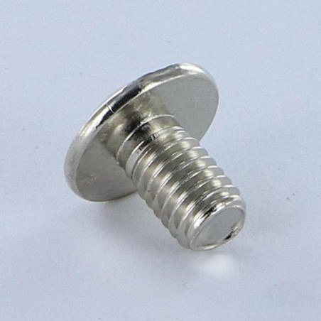 1 x Vite Testa Poelier Larga Pozy Con Intaglio M6X10 Acciaio Nichel