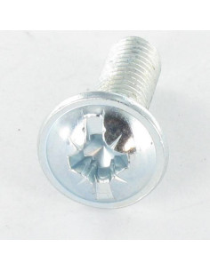 Vite Testa Poelier Larga Pozy Con Intaglio M4X20 Zincate 2