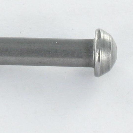 1 x Rivetto Testa Poelier 16X160 Acciaio Grezzo