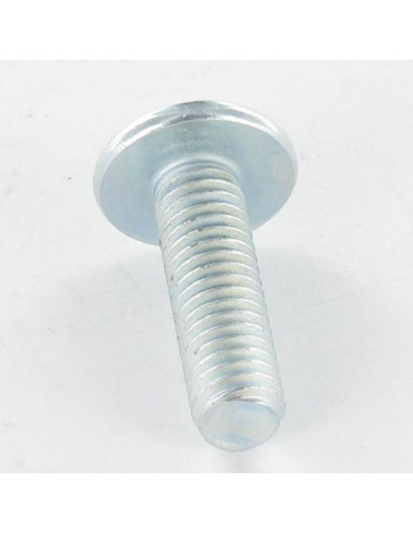 1 x Vite Testa Poelier Larga Pozy Con Intaglio...