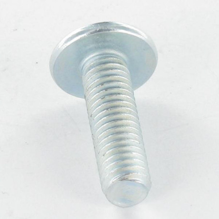 1 x Vite Testa Poelier Larga Pozy Con Intaglio M4X20 Zincate