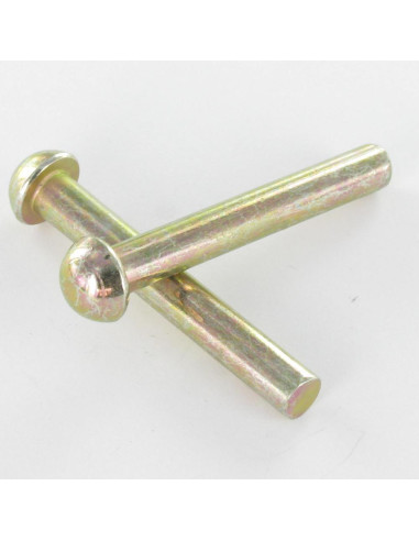 1 x Rivetto Testa Poelier 3,5 x 11,5 Bicromato