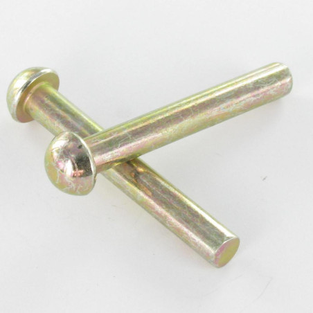 1 x Rivetto Testa Poelier 3,5 x 11,5 Bicromato