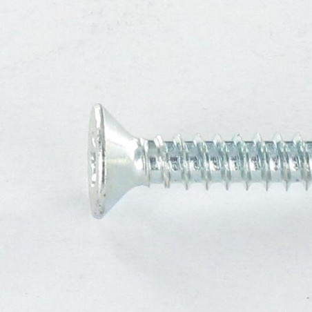 1 x Vite Autoperforante Testa Forata T20 4.2X32 Zincate