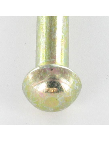 1 x Rivetto Testa Poelier 3,5 x 11,5 Bicromato