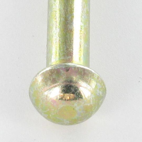1 x Rivetto Testa Poelier 3,5 x 11,5 Bicromato