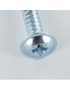 Vite Per Lamiera Testa Poelier Larga Pozy 2,9 x 9,5 Zincate 2