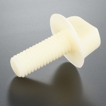 1 x Vite VIOLINO Nylon M10X25 Tipo con