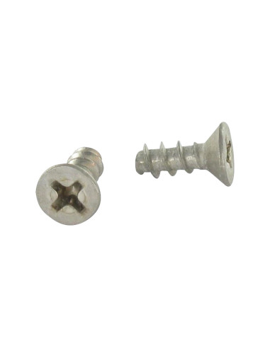 1 x Vite Per Pvc Testa Forata Phillips 4X10...
