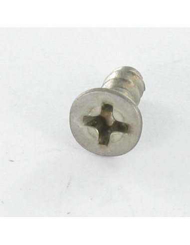 1 x Vite Per Pvc Testa Forata Phillips 4X10...