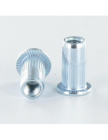 1 x Dadi Rivettabili Testa Piatta M10X22 ACPC60...