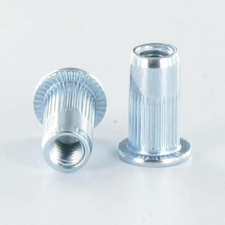 1 x Dadi Rivettabili Testa Piatta M10X19.5 ACPC35 Zincate
