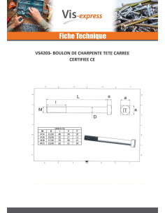 Bullone (Venduto Con Dado) Telaio M16X180 Testa Quadrata... 2