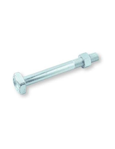 1 x Bullone (Venduto Con Dado) Telaio M20X275...